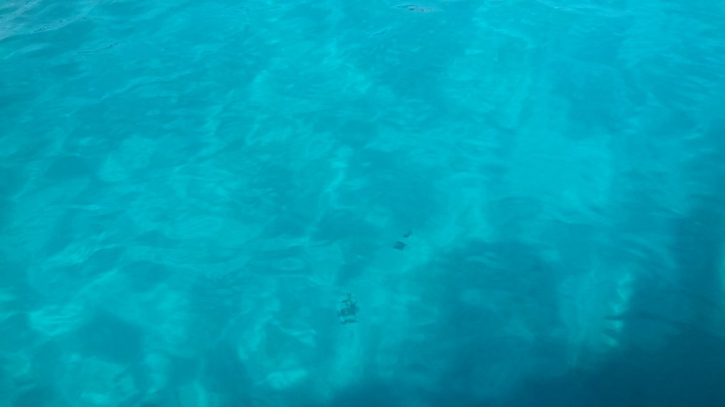 sardinien wasser | sardegna acqua
